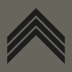 Grade Militaire Basse Visibilité Sergent-chef / Maréchal Des Logis-chef A10 Equipment