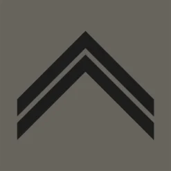 Grade Militaire Basse Visibilité Sergent / Maréchal Des Logis A10 Equipment