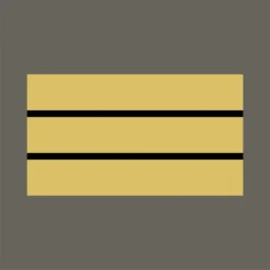 Grade Militaire Haute Visibilité Jaune Capitaine A10 Equipment