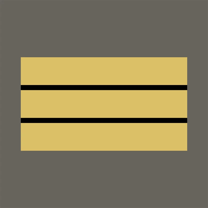 Grade Militaire Haute Visibilité Jaune Capitaine A10 Equipment