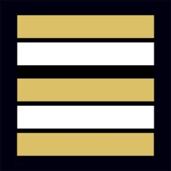 Grade Troupes De Marine Haute Visibilité Lieutenant-colonel A10 Equipment